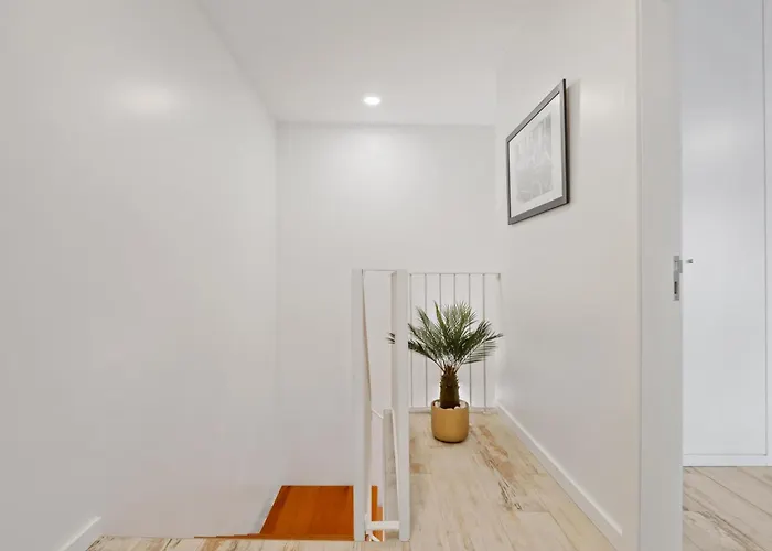 Tanoeiros By An Island * Funchal (Madeira)