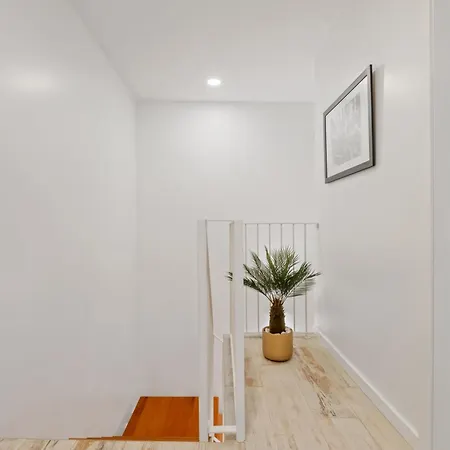 Tanoeiros By An Island * Funchal (Madeira)